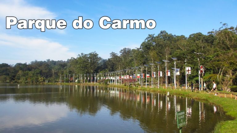 desentupidora-de-ralo-parque-do-carmo