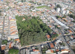 limpa-fossa-curuça