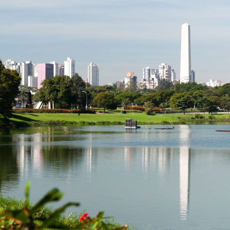 limpa-fossa-no-ibirapuera